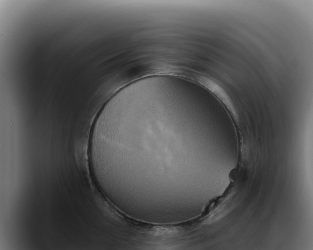 X0000088390954200705291405