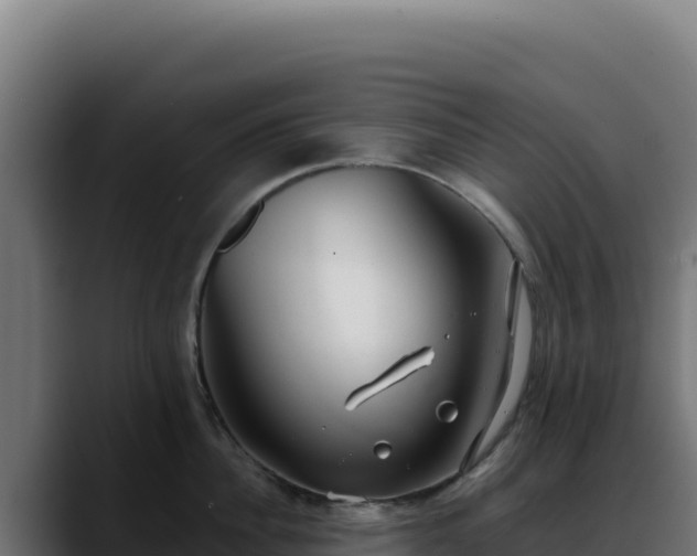 X0000088390956200705291405