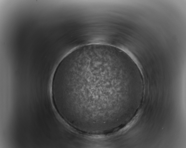 X0000088390957200705291405