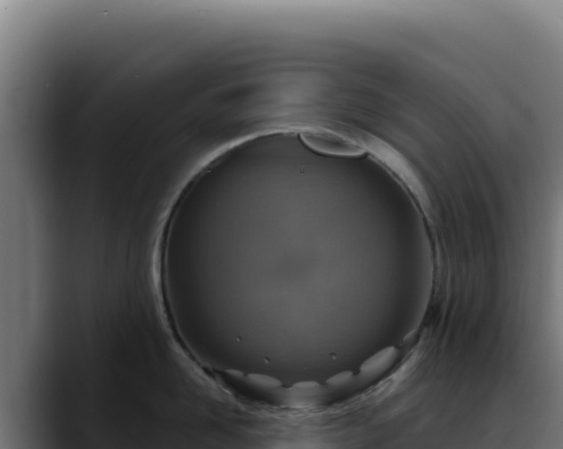 X0000088390958200705291405