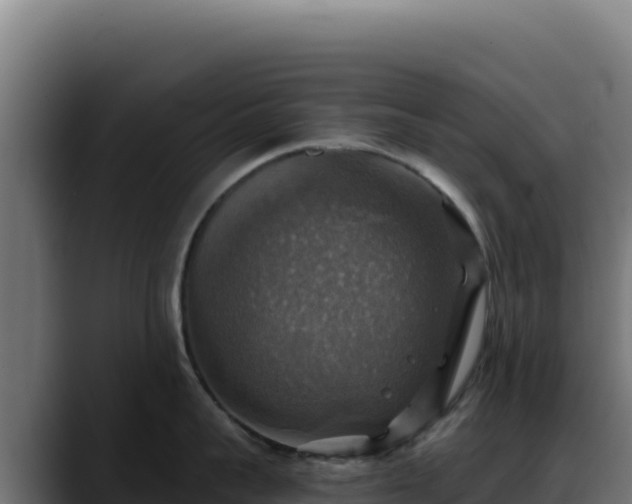 X0000088390959200705291405