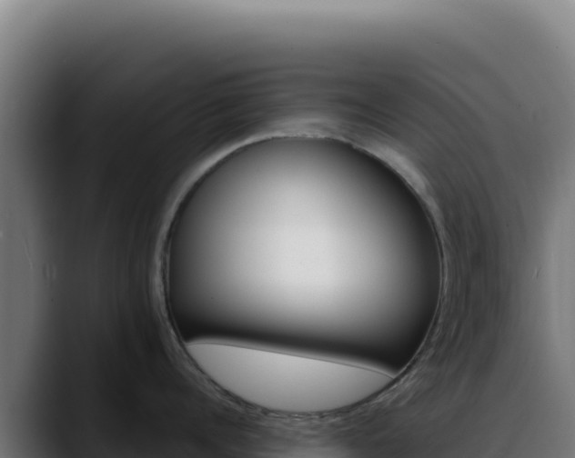 X0000088390960200705291405