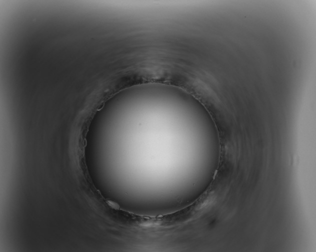 X0000088390961200705291405