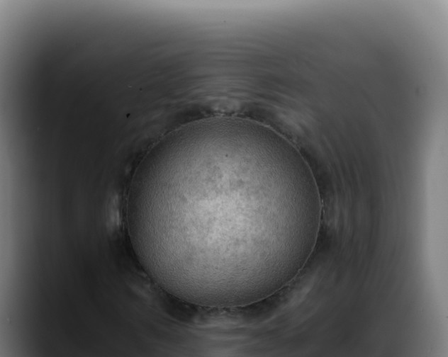 X0000088390962200705291405