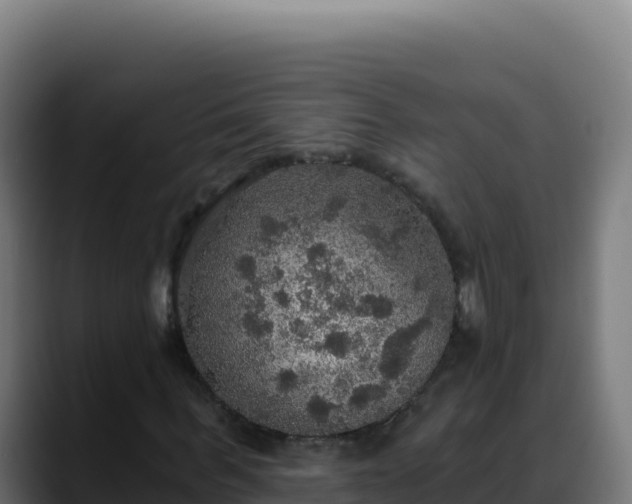 X0000088390963200705291405