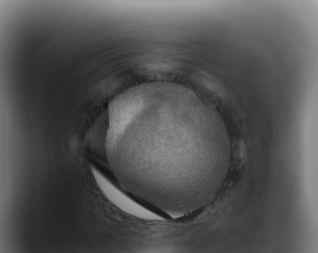 X0000088390965200705291405