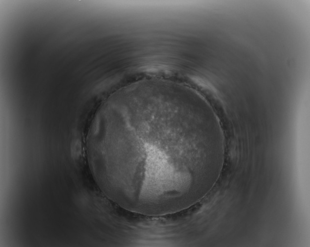 X0000088390966200705291405