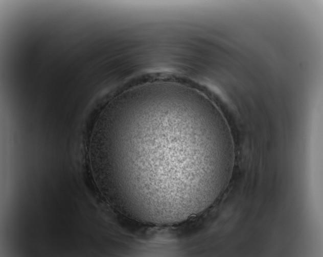 X0000088390967200705291405