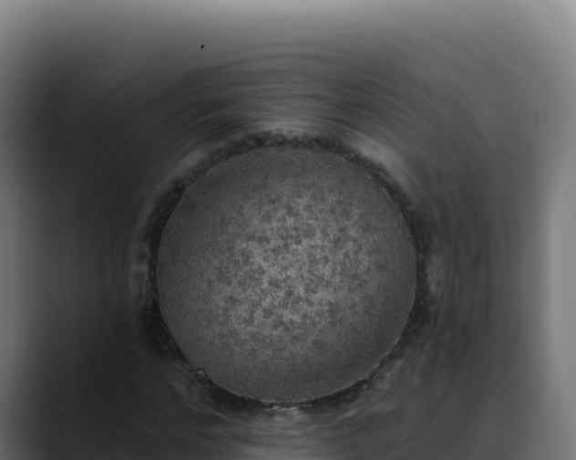 X0000088390968200705291405