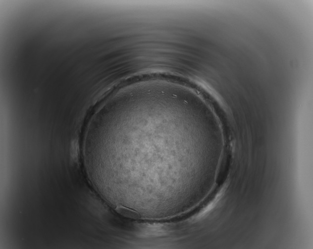 X0000088390969200705291405