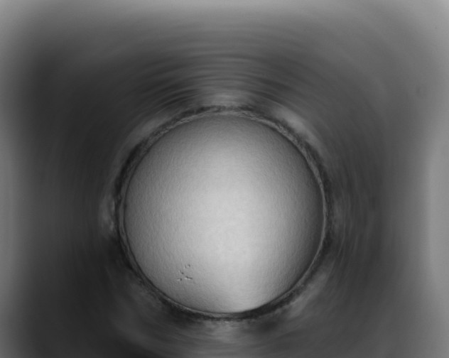 X0000088390970200705291405