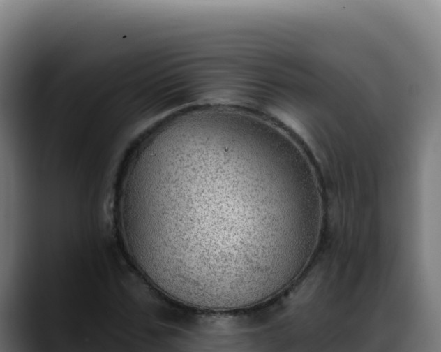 X0000088390971200705291405