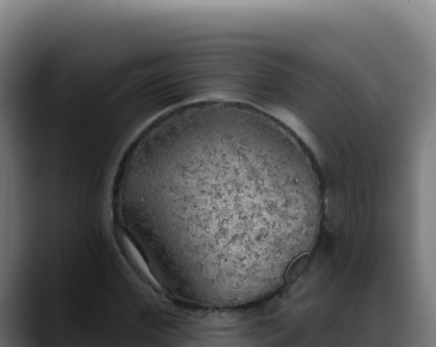 X0000088390972200705291405