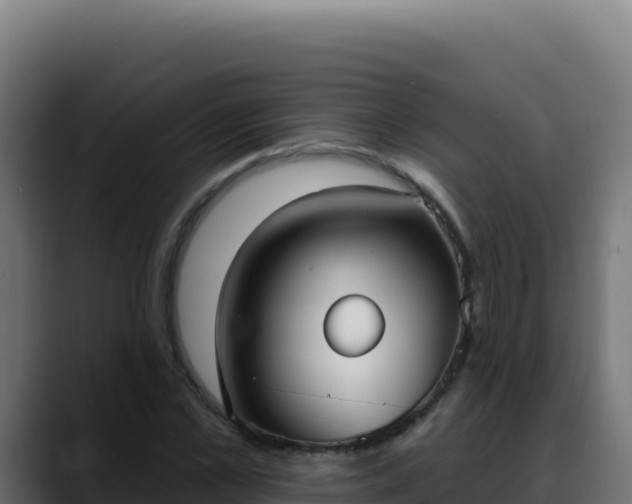 X0000088390973200705291404