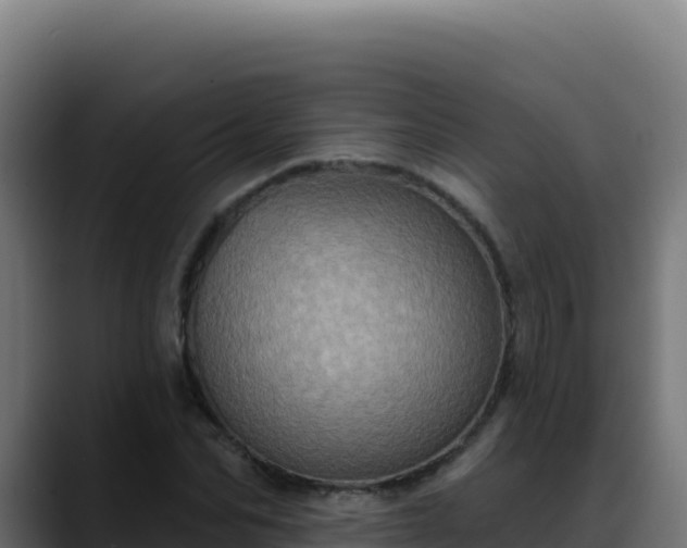 X0000088390974200705291404