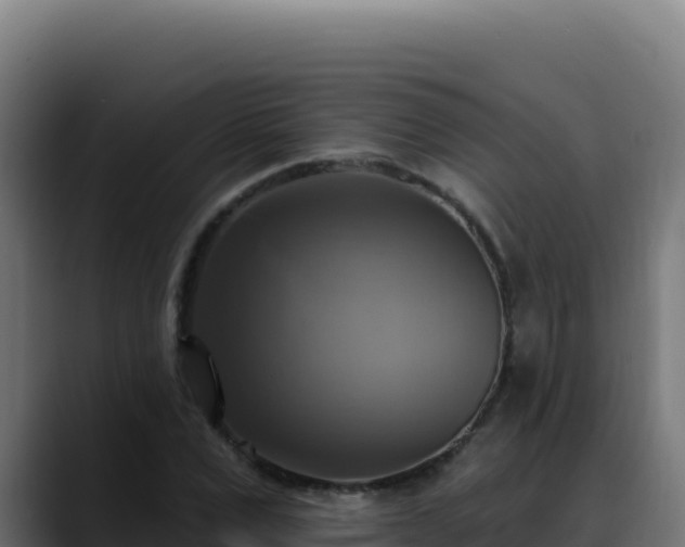 X0000088390975200705291404