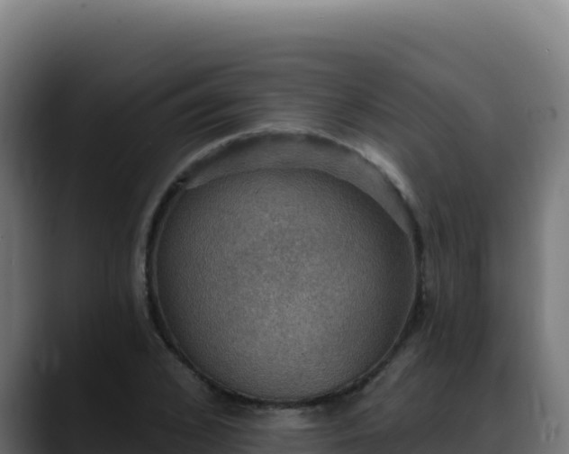 X0000088390976200705291404