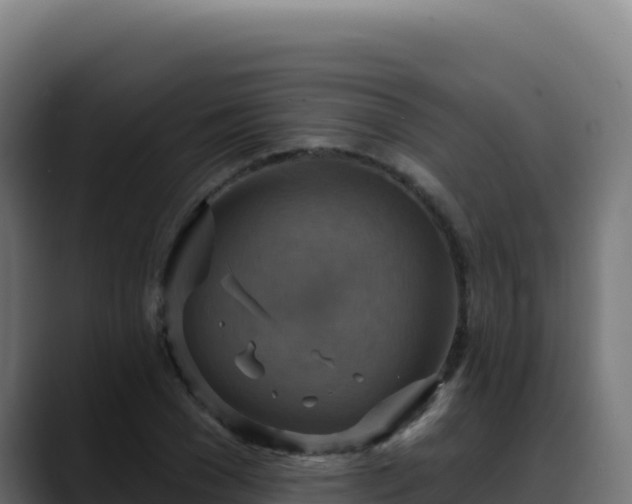 X0000088390977200705291404