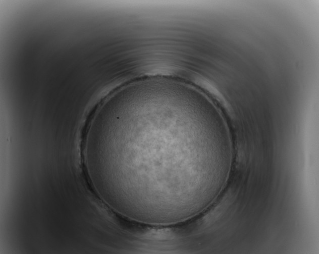 X0000088390978200705291404