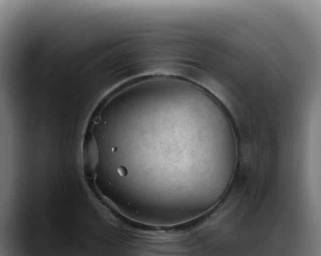 X0000088390980200705291404