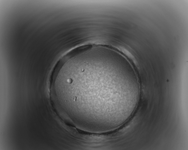 X0000088390981200705291404