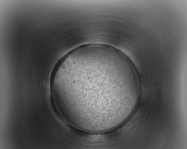 X0000088390982200705291404