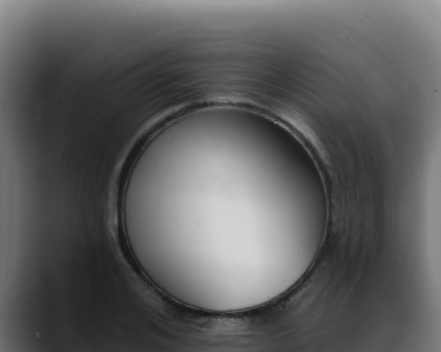 X0000088390984200705291404