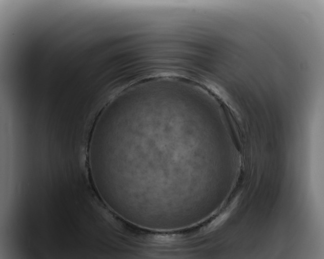 X0000088390985200705291404