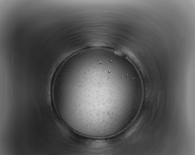 X0000088390986200705291404