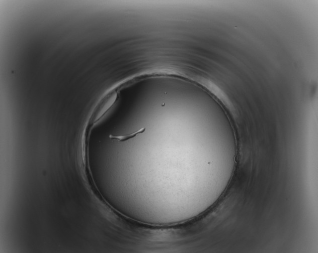 X0000088390988200705291404