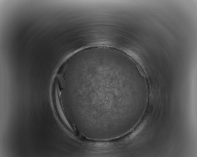 X0000088390989200705291404