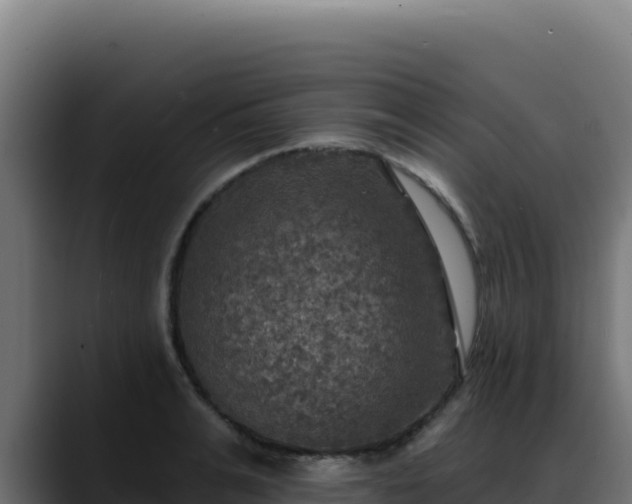 X0000088390991200705291404