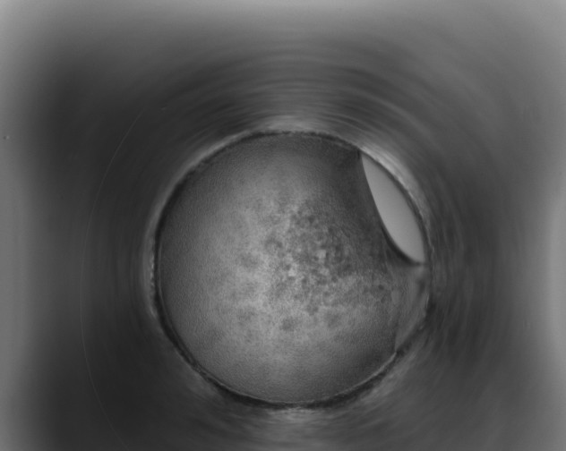 X0000088390992200705291404