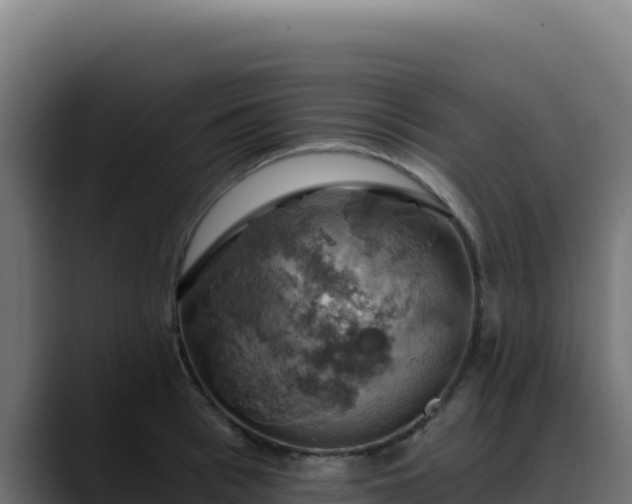 X0000088390993200705291404