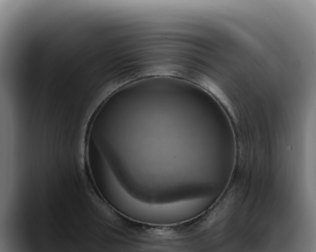 X0000088390994200705291404