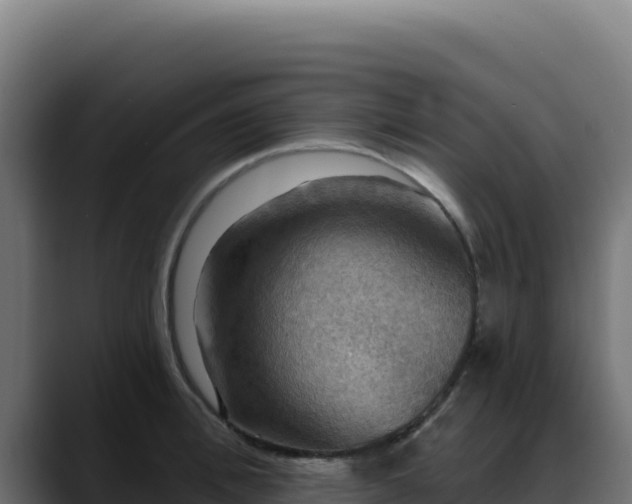 X0000088390996200705291404