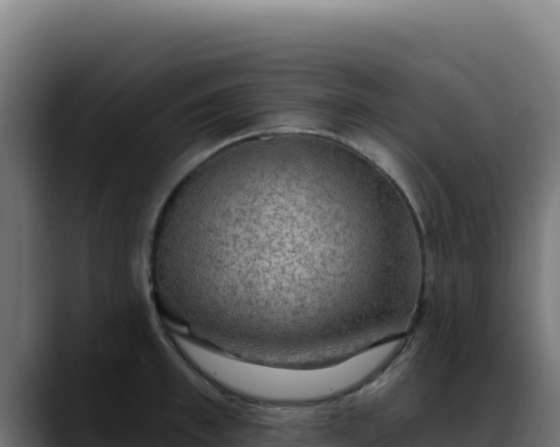 X0000088390997200705291404