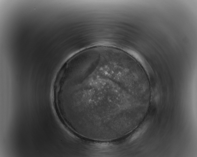 X0000088390999200705291404