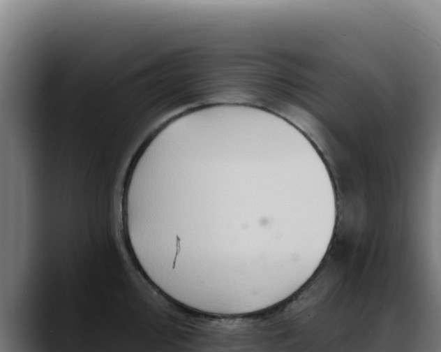 X0000088391000200705291404