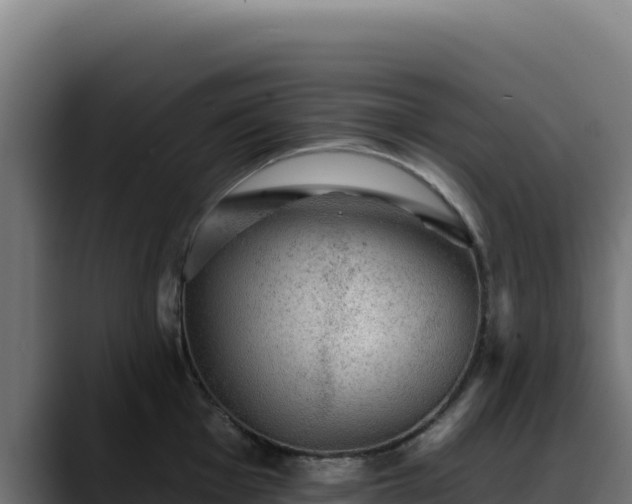 X0000088391001200705291404