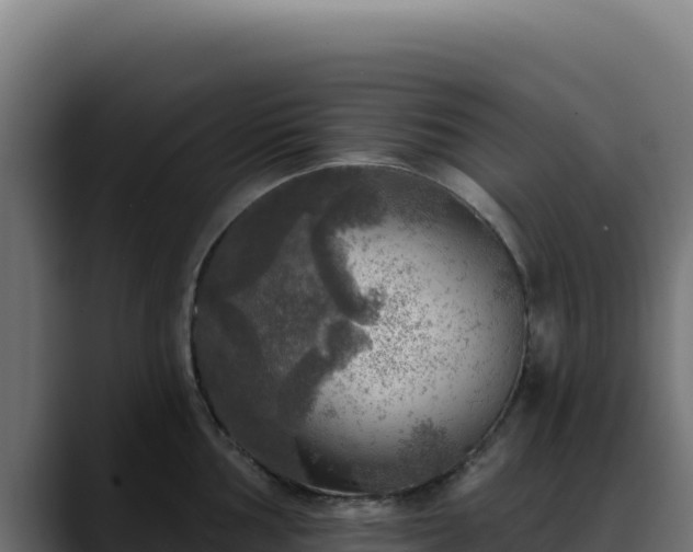 X0000088391002200705291404