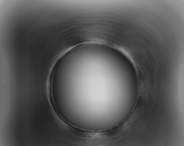 X0000088391003200705291404