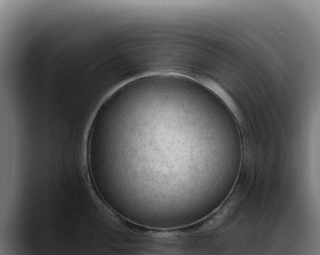 X0000088391004200705291404