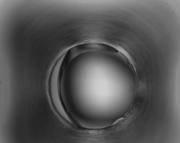 X0000088391005200705291404