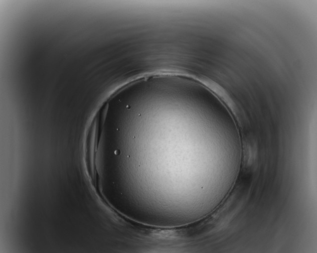 X0000088391006200705291404