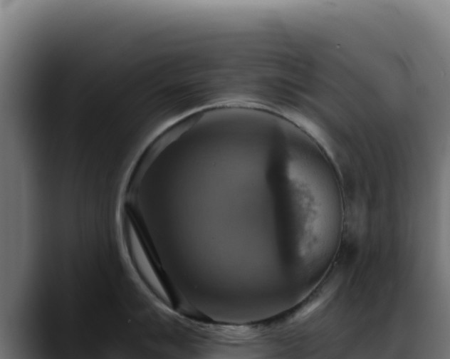 X0000088391007200705291404