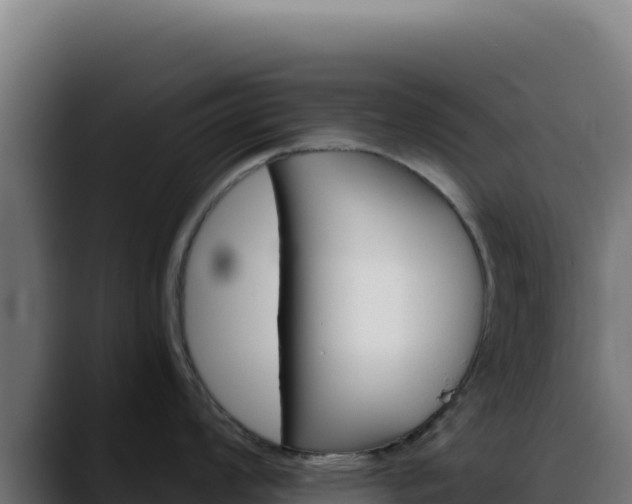 X0000088391008200705291404