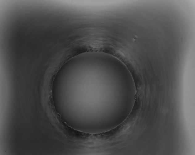 X0000088391009200705291403