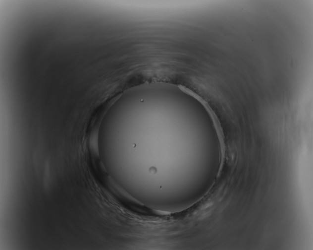 X0000088391010200705291403