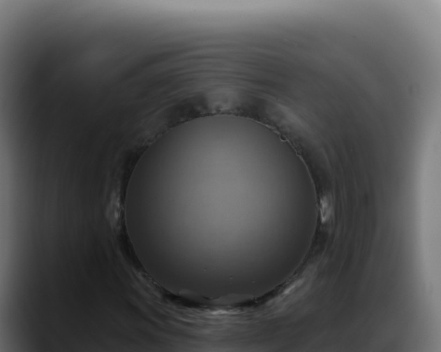 X0000088391011200705291403